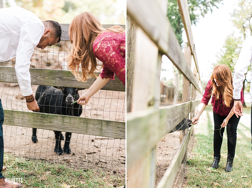 thewilletts_goatfarm_engagements_019